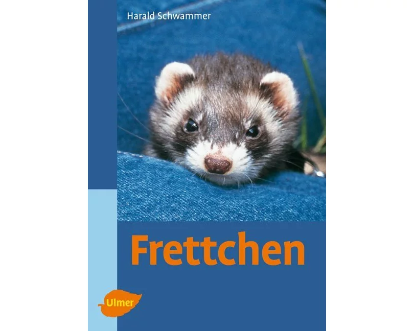 Frettchen