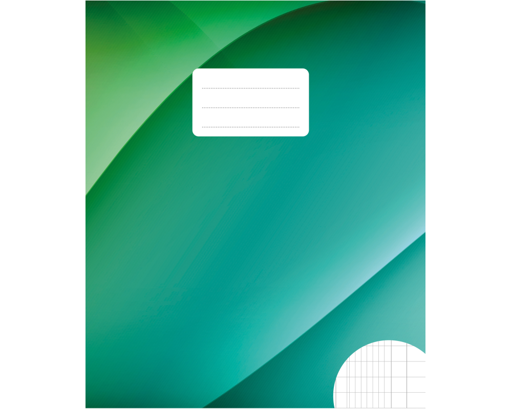 BÜROLINE Heft E5 533875010 2 Kolonnen 90g