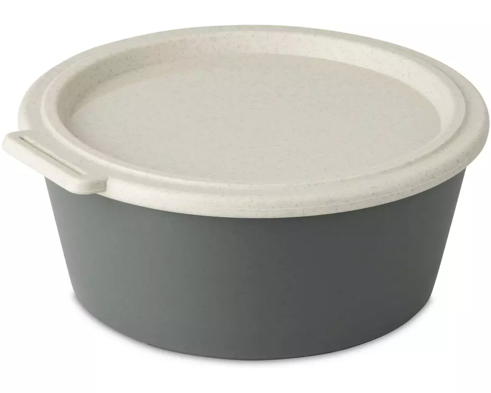 Koziol Schale Move Box mit Deckel 1.3 l, Grau