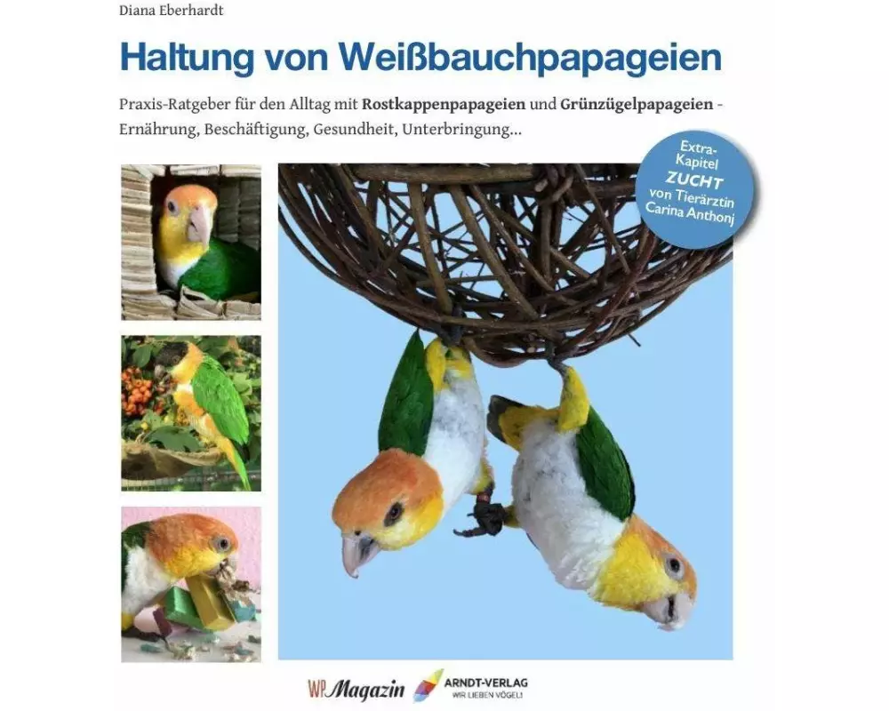 Haltung von Weißbauchpapageien