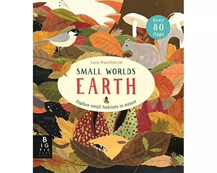 Small Worlds: Earth