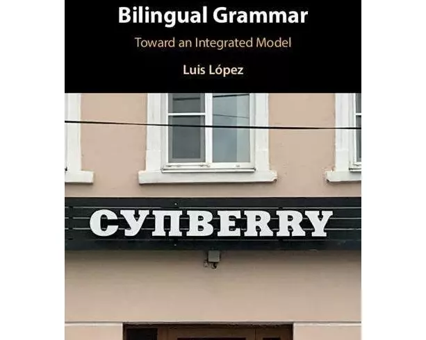 Bilingual Grammar