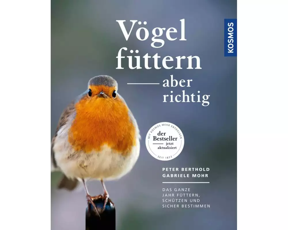 Vögel füttern, aber richtig