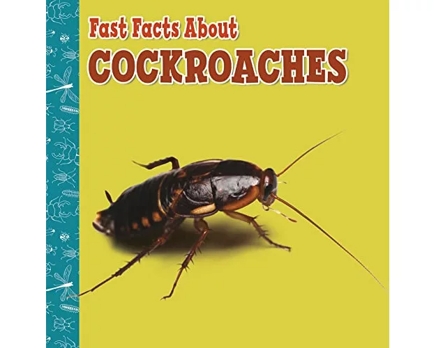 Fast Facts About Cockroaches