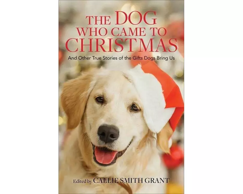 The Dog Who Came to Christmas – And Other True Stories of the Gifts Dogs Bring Us
