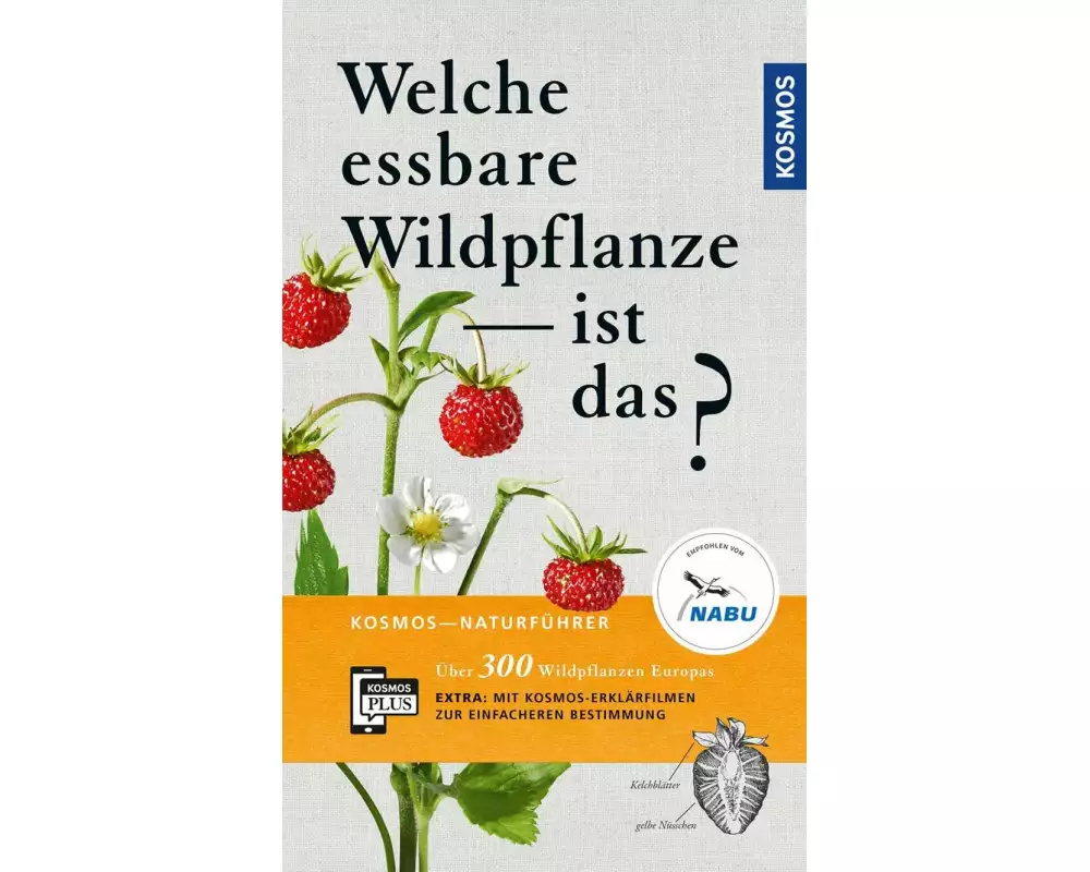 Welche essbare Wildpflanze ist das?