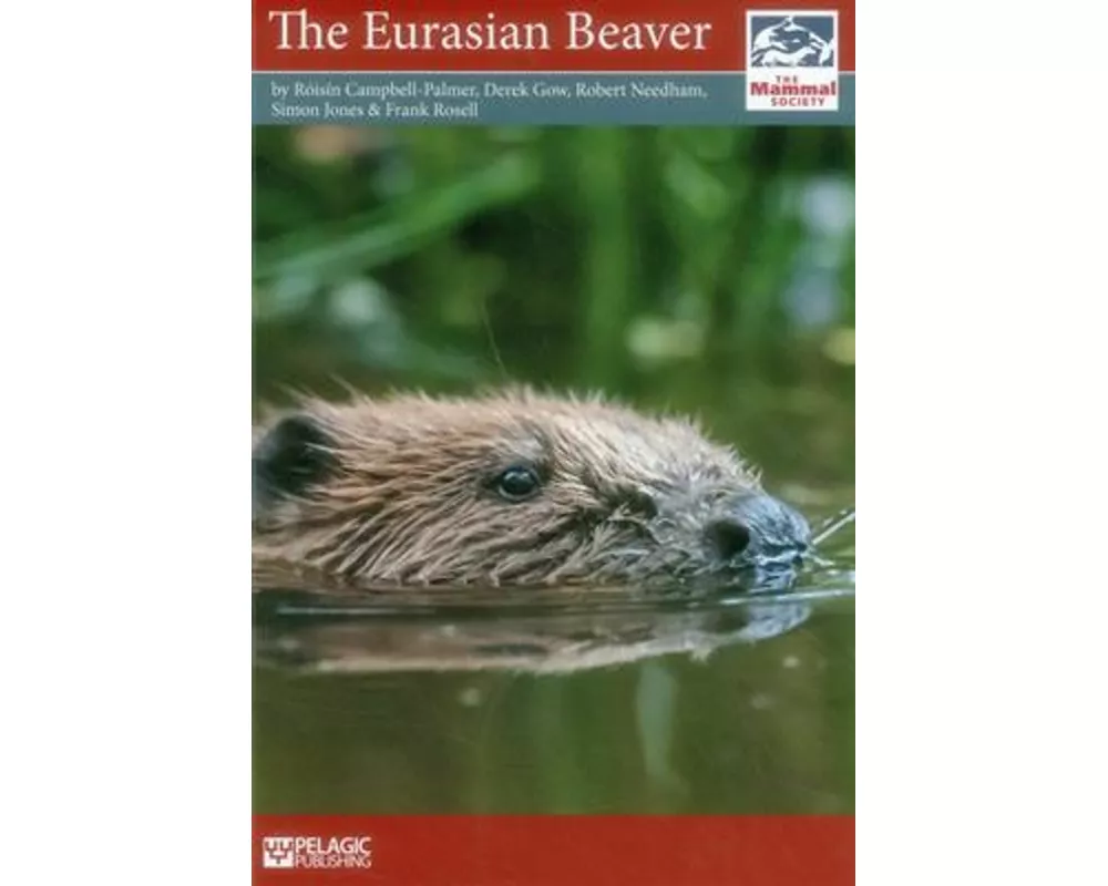 The Eurasian Beaver