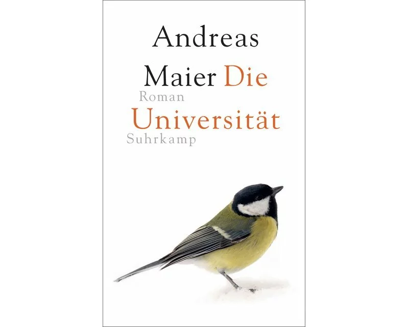 Die Universität − Roman (Ortsumgehung 6)