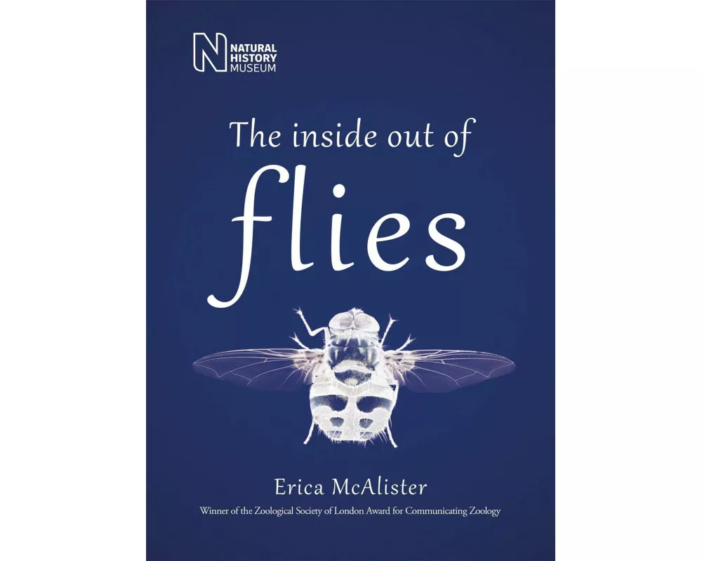 The Inside Out Of Flies