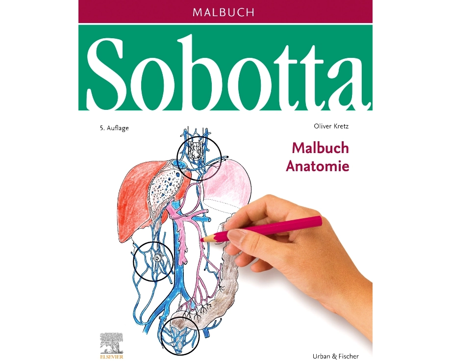 Sobotta Malbuch Anatomie
