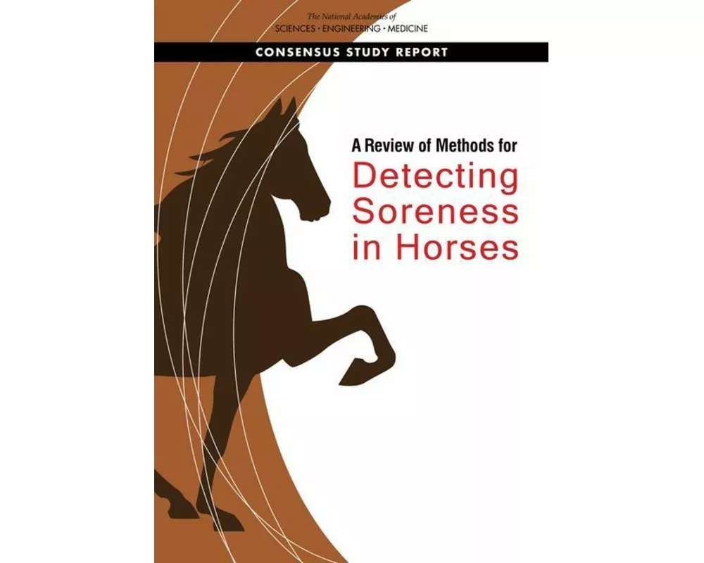 A Review of Methods for Detecting Soreness in Horses