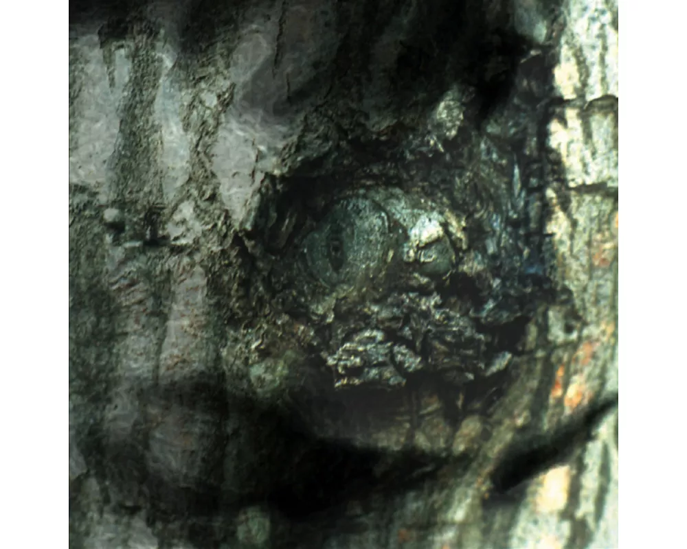 La Valse Des Monstres/The Waltz Of The Monsters