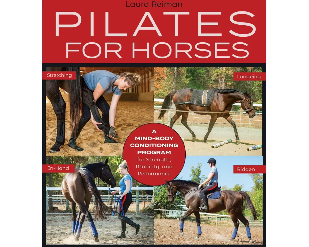 Pilates for Horses