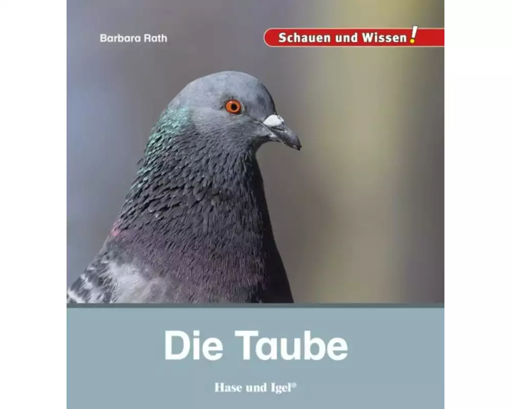 Die Taube