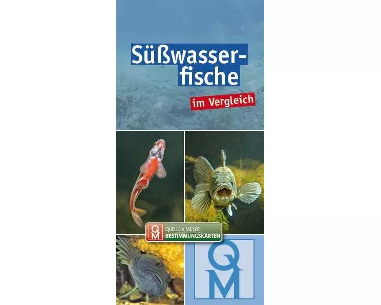 Süßwasserfische