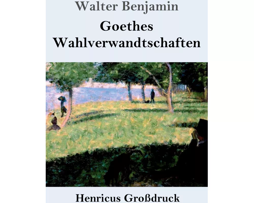 Goethes Wahlverwandtschaften (Großdruck)