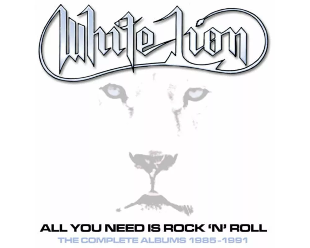 All You Need is Rock N Roll