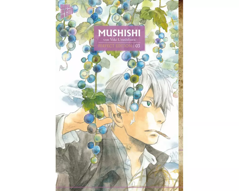 Mushishi - Perfect Edition 3