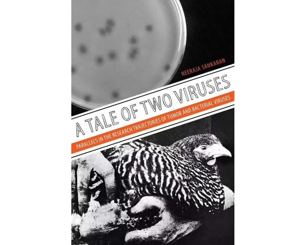A Tale of Two Viruses