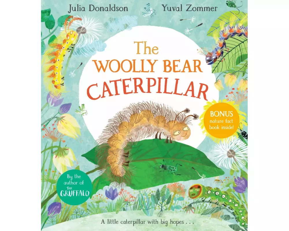 The Woolly Bear Caterpillar