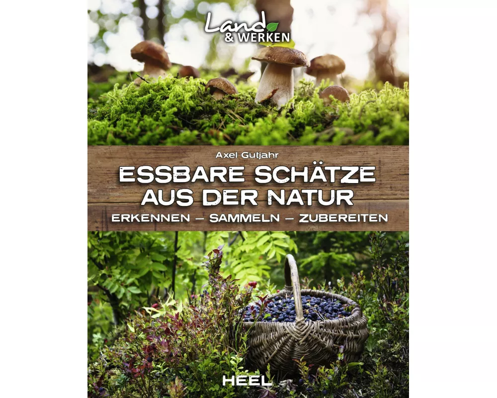 Essbare Schätze aus der Natur: Erkennen – Sammeln – Zubereiten