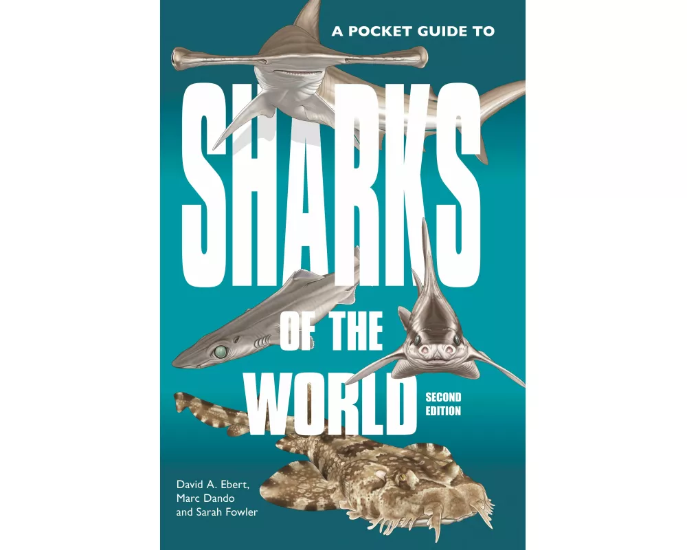 A Pocket Guide to Sharks of the World