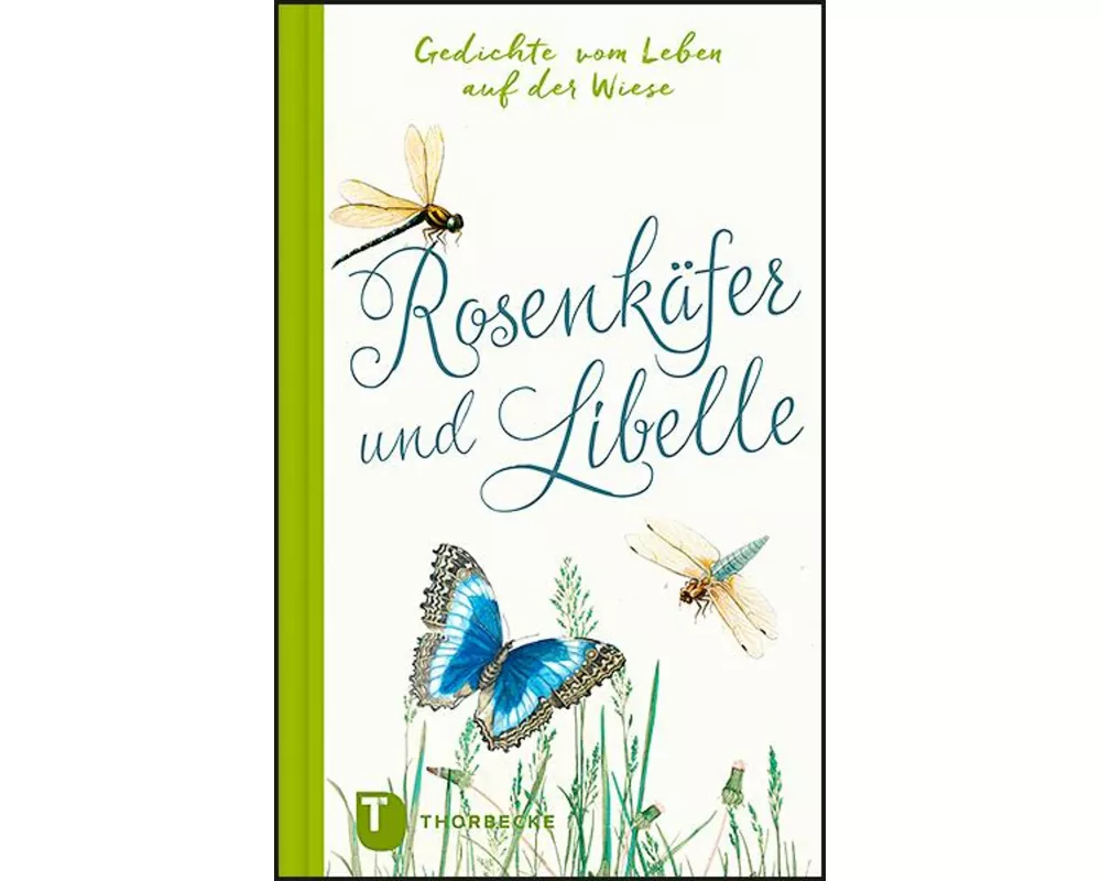 Rosenkäfer und Libelle
