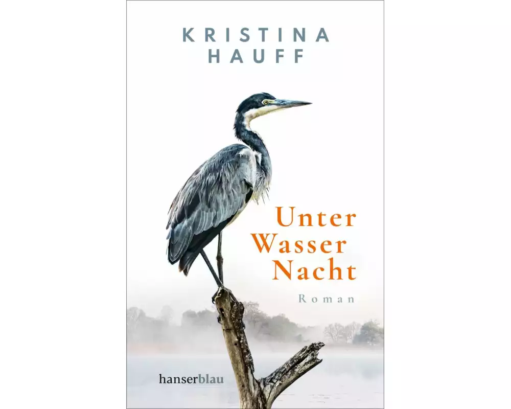 Unter Wasser Nacht