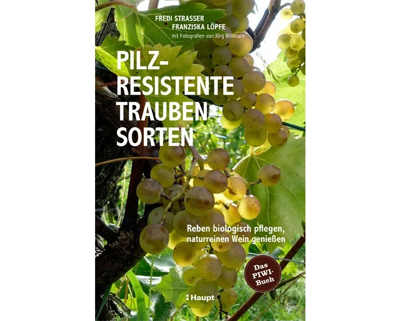 Pilzresistente Traubensorten