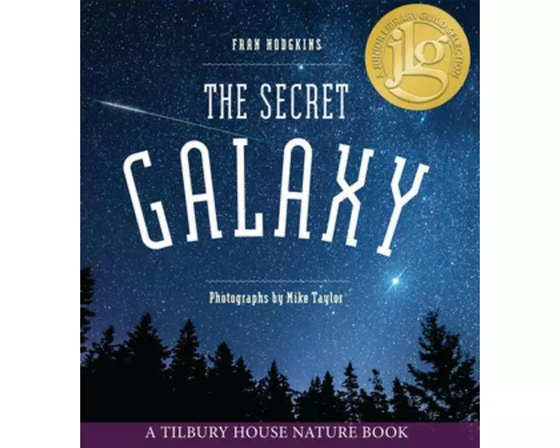 The Secret Galaxy