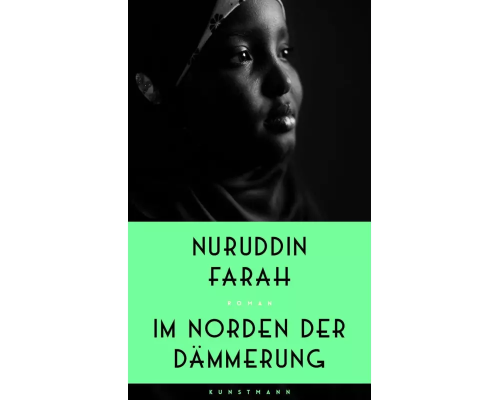 Im Norden der Dämmerung