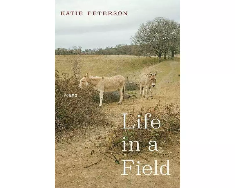 Life in a Field – Poems