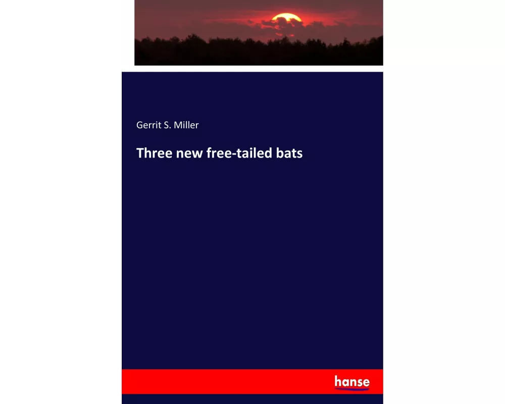 Three new free-tailed bats