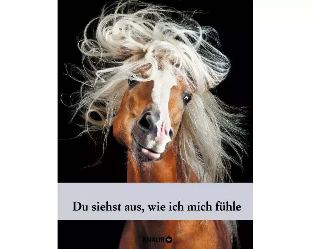 Die Zeit. Du siehst aus, wie ich mich fühle