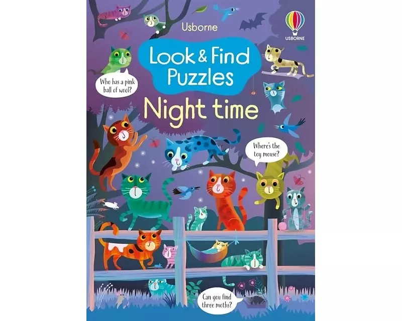 Look and Find Puzzles Night time