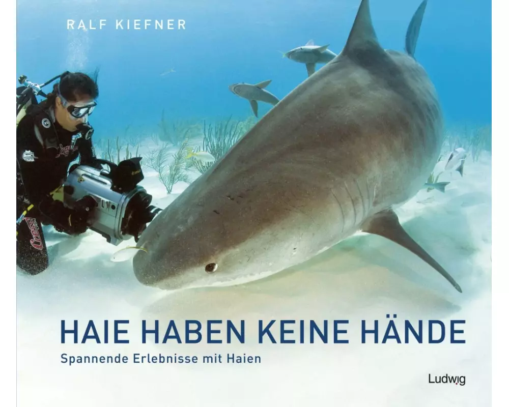 Haie haben keine Hände - Spannende Erlebnisse mit Haien