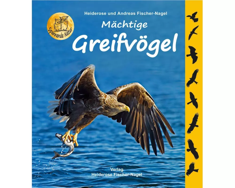 Mächtige Greifvögel