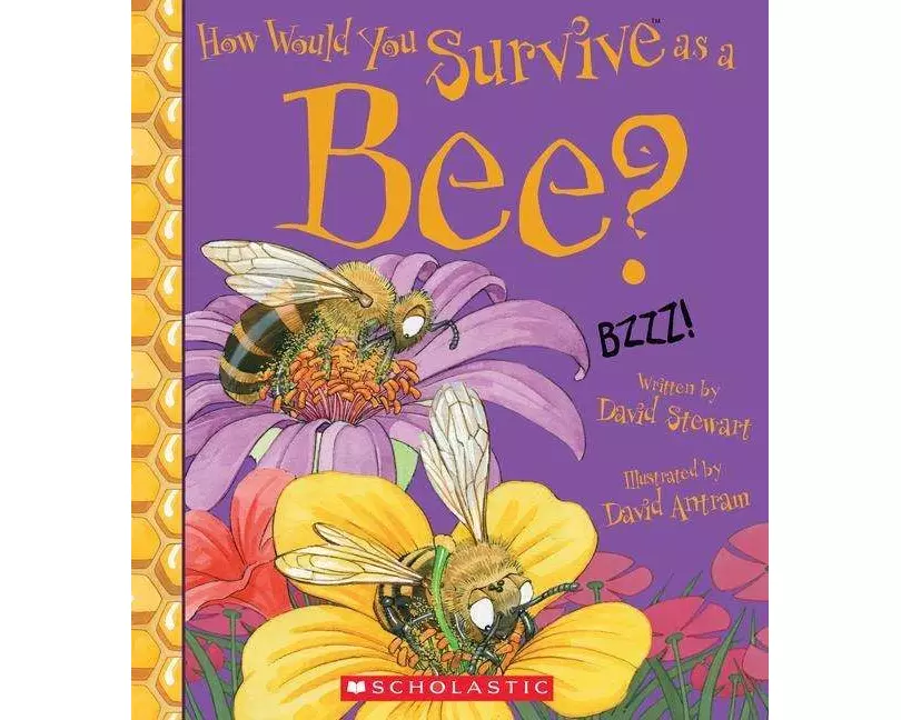 How Would You Survive as a Bee?