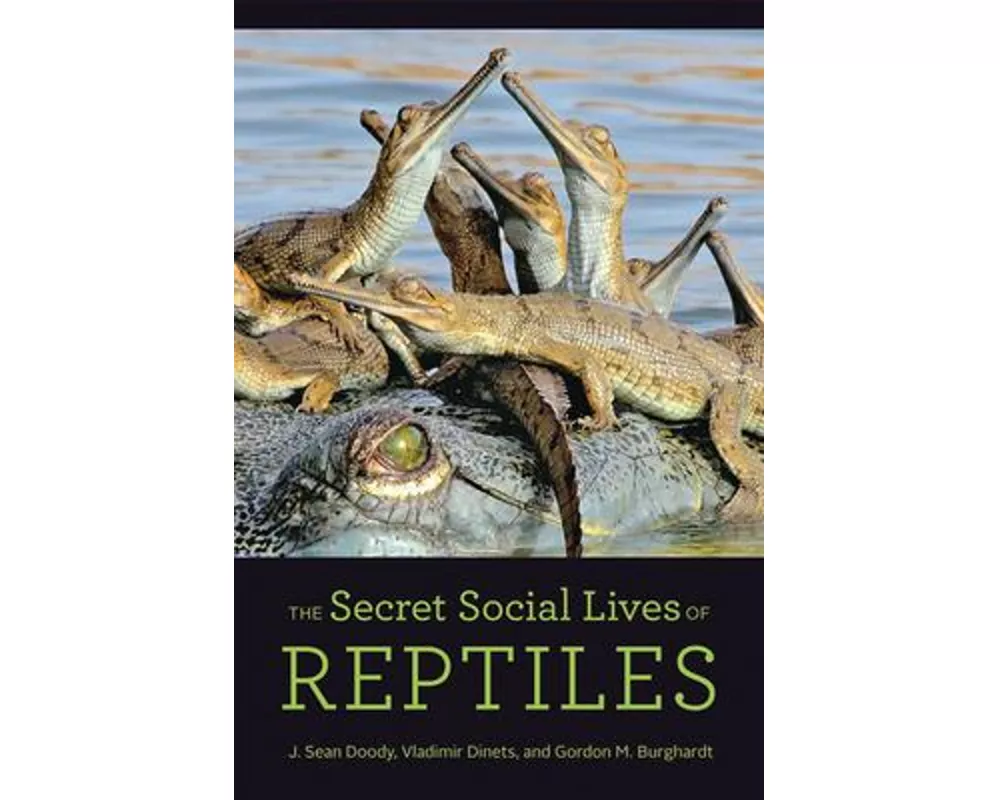 The Secret Social Lives of Reptiles