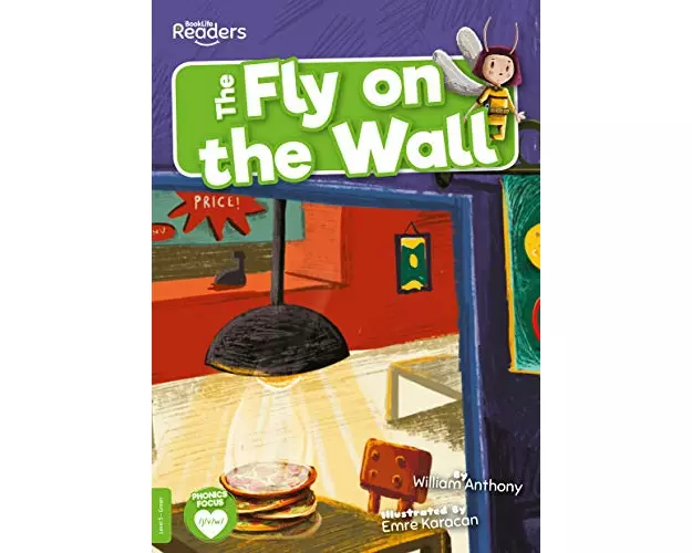 The Fly On The Wall