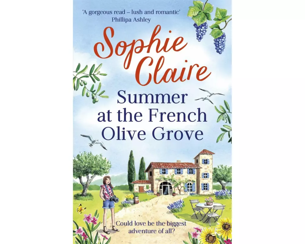 Summer at the French Olive Grove