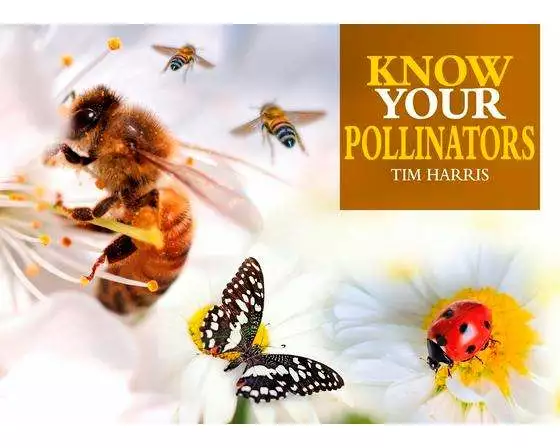 Know Your Pollinators