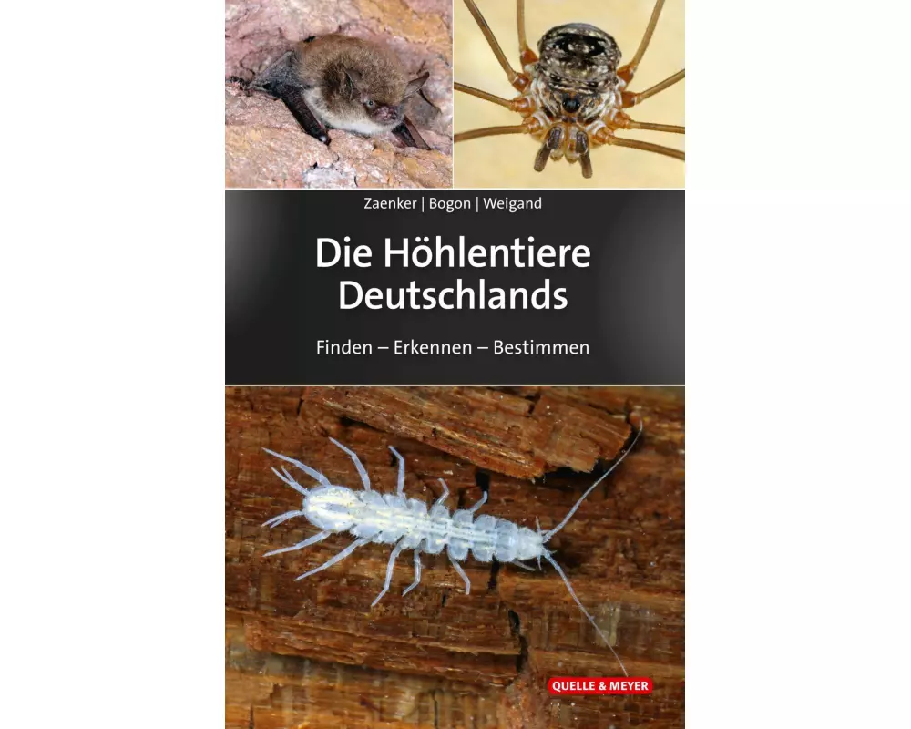 Die Höhlentiere Deutschlands