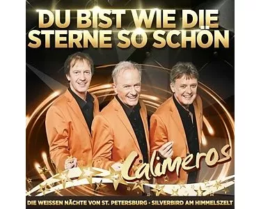 Jahrtausendhits-Du bist wie die Sterne so schön