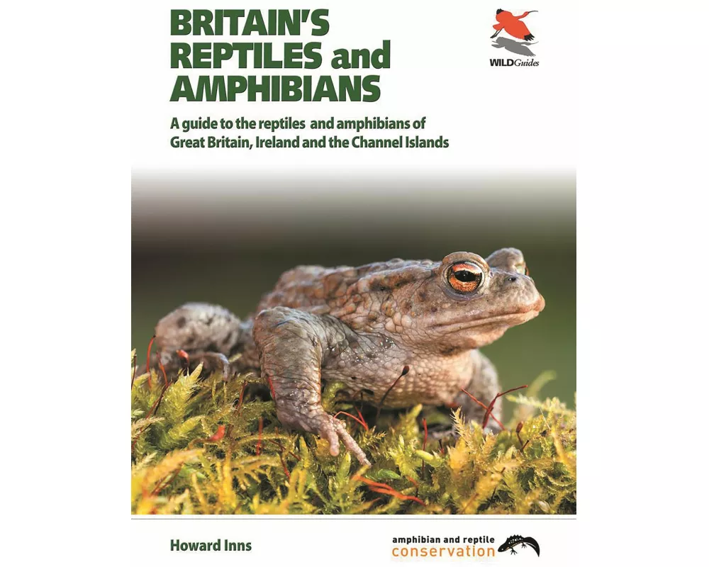 Britain`s Reptiles and Amphibians