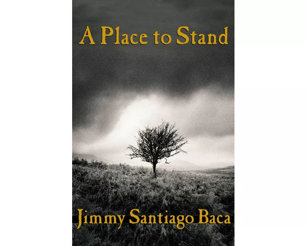 A Place to Stand