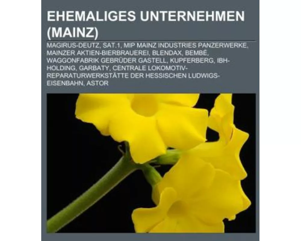 Ehemaliges Unternehmen (Mainz)