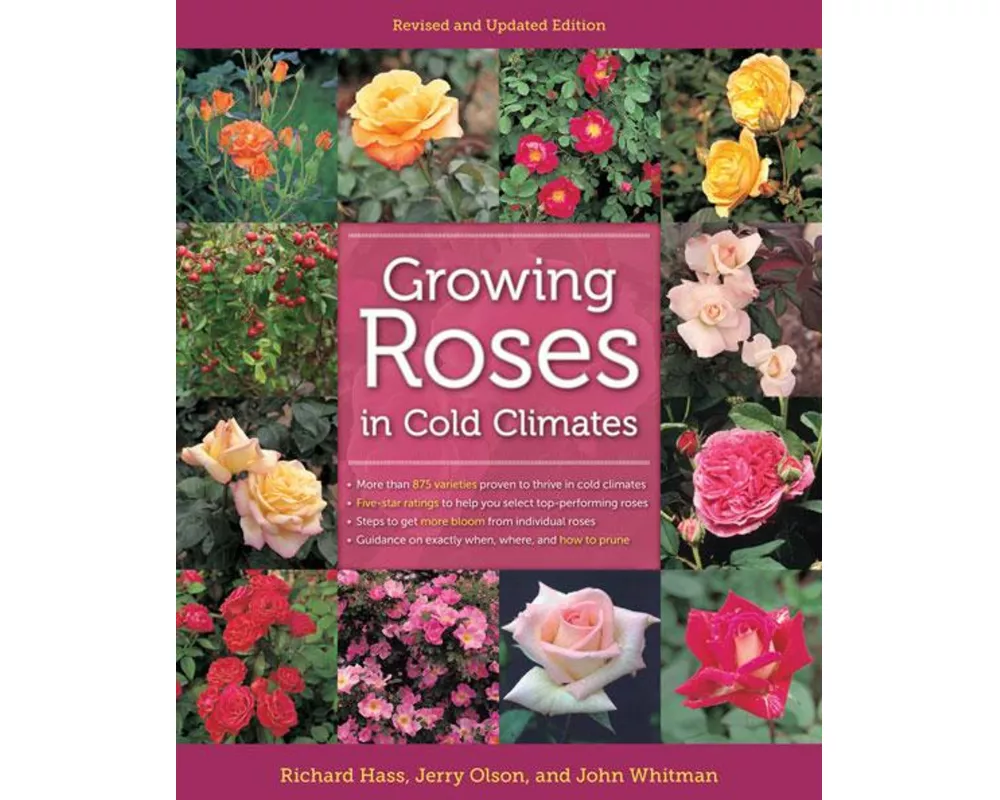 Growing Roses in Cold Climates