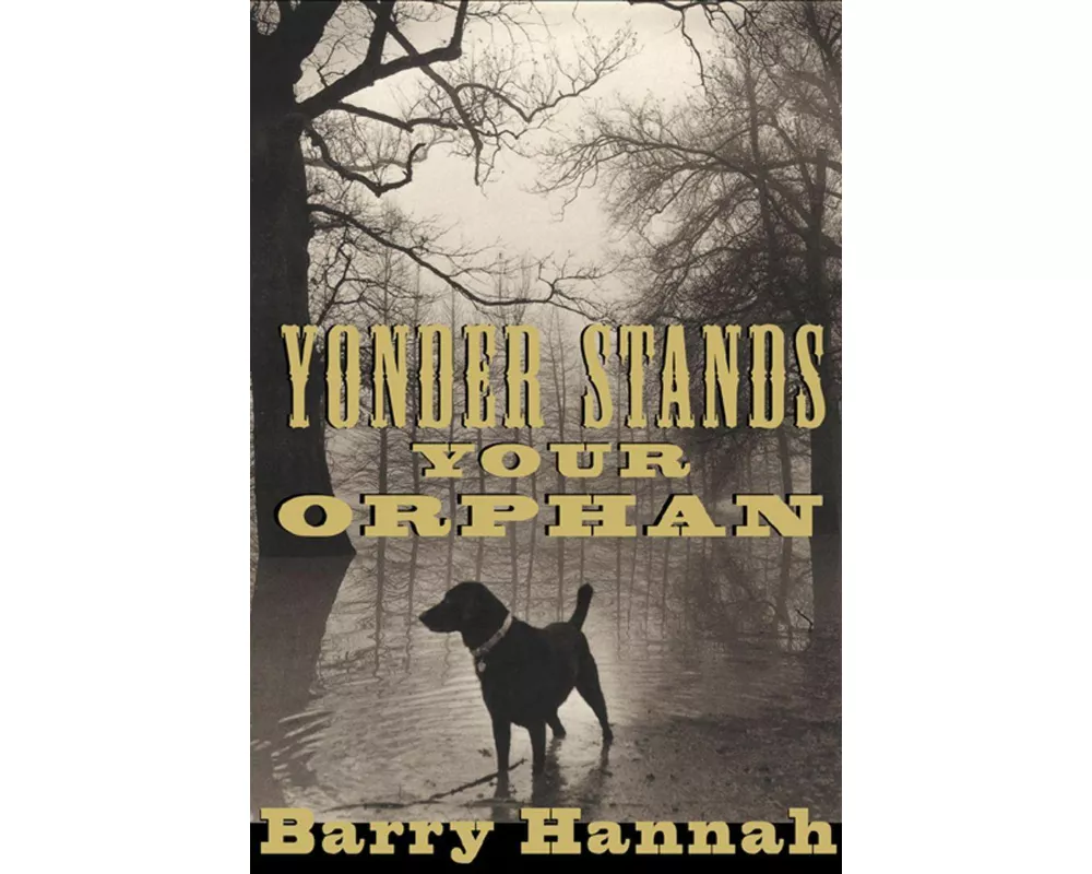 Yonder Stands Your Orphan