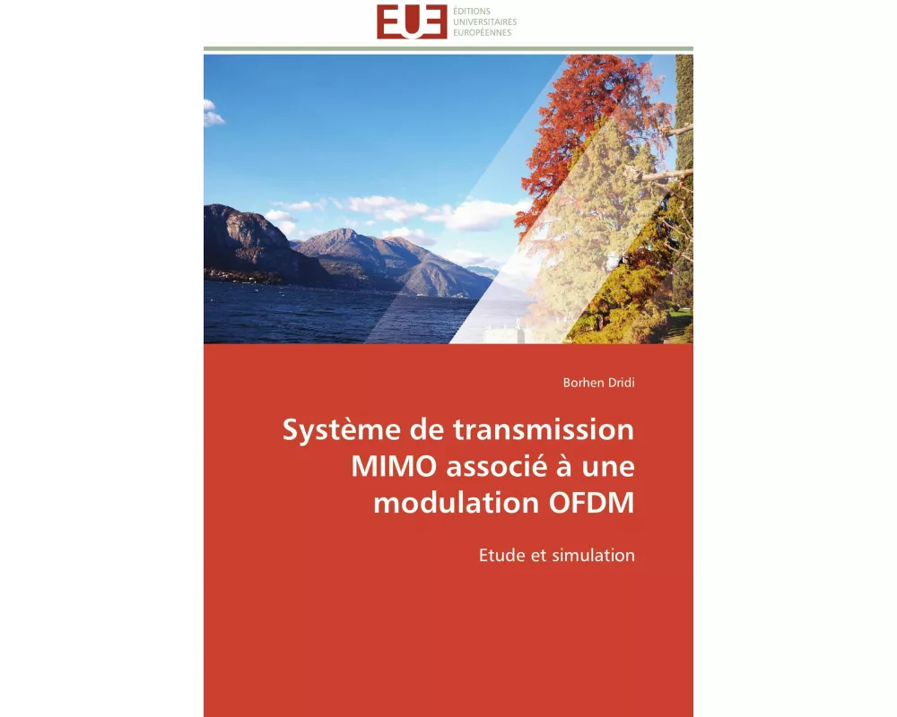 Système de transmission MIMO associé à une modulation OFDM
